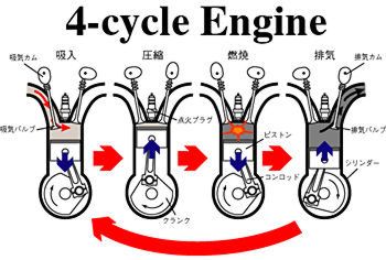 4-cycle
